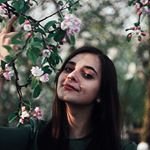 Profile Picture of stevealfieri5166 (@stevealfieri5166) on Instagram
