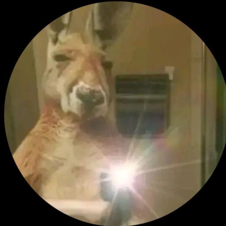 Profile Picture of nathanmachado0216 (@nathan.machado89) on Tiktok