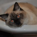 Profile Picture of aimee reese (@aimee3541hp) on Instagram