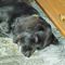Profile Picture of Ardis Bender (@Ardis-Bender) on Facebook