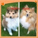 Jayne Parsons - Instagram Profile Picture of Jayne Parsons (@jayneparsons9132) on Instagram