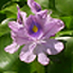 Profile Picture of Danielle Darling (@danielledarlingdarling) on Flickr