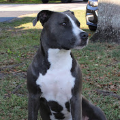 Vivianne Kelly Paz - Youtube Profile Picture of Vivianne Kelly Paz (@keljunadr) on Youtube