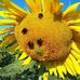 Profile Picture of Herbert Moritz (@herbert.moritz.50) on Facebook