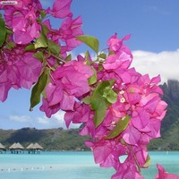 Profile Picture of Hannah Dunham (@hannah-dunham-7) on Quora