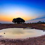 Profile Picture of 서송단 (@yxklgrznt525) on Instagram