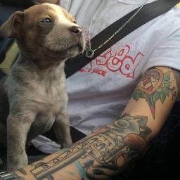 Profile Picture of Mavis Huang (@immavis_mavis) on Twitter