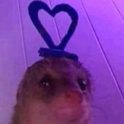 Profile Picture of Marlene Balderas (@Marlene73735008) on Twitter