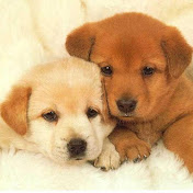 Profile Picture of Sarah Reyna (@sarahreyna5740) on Youtube