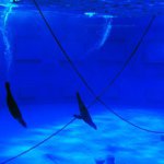 Profile Picture of Lucy Bryant (@keylocks) on Instagram