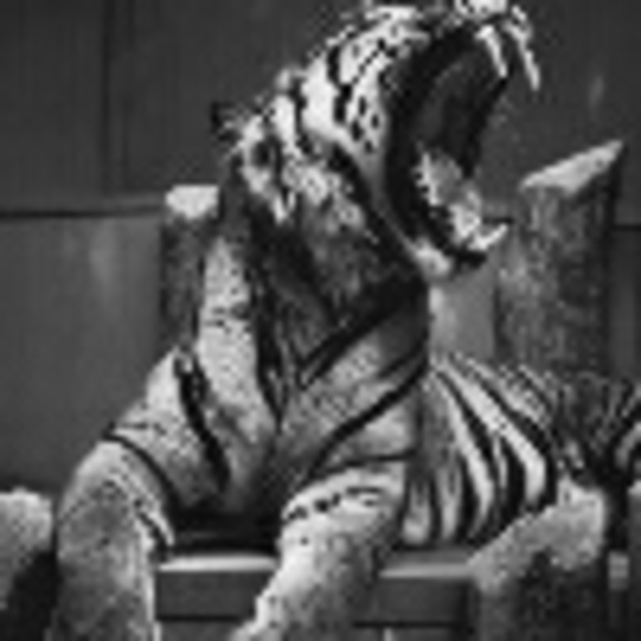 Profile Picture of Chaslyn Botley (@victoria0084) on Poshmark