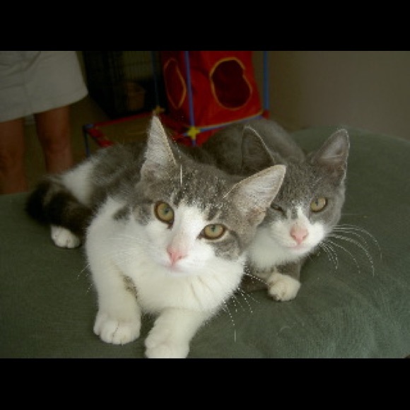 Profile Picture of Craig Walters (@walters921) on Poshmark