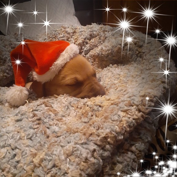 Profile Picture of Kimberly Macarthur (@kmac3141) on Poshmark