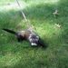 Profile Picture of Diane Bertram Bell (@dbertram2001) on Pinterest