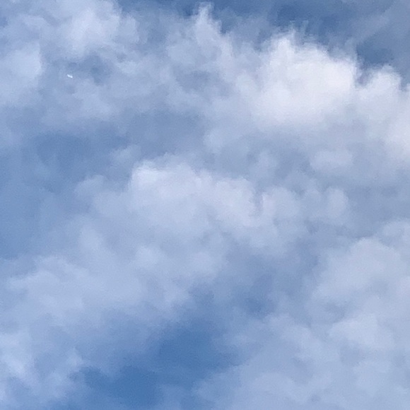 Darius Porter - Poshmark Profile Picture of Darius Porter (@fayettevillain1) on Poshmark