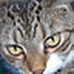 Profile Picture of John Jarrett (@john w jarrett) on Flickr