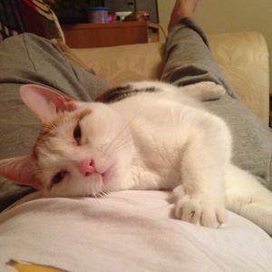 Profile Picture of Mike Berry (@mberrrr) on Myspace