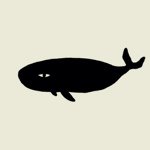 Profile Picture of Michael Eales (@mikemikenz) on Instagram