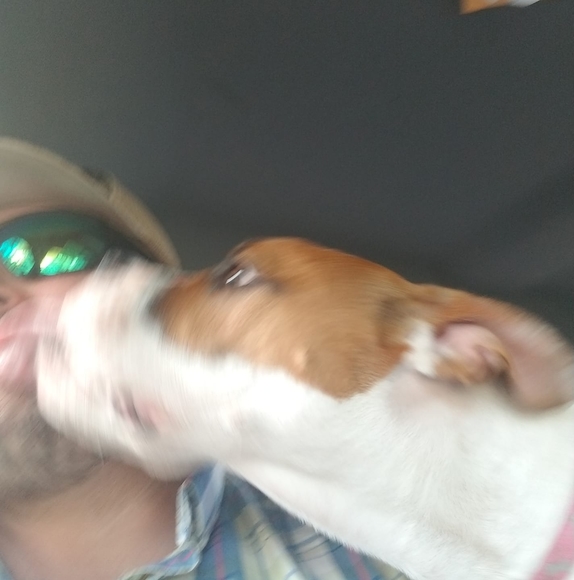 Profile Picture of Richard Mullis (@rich7171) on Poshmark