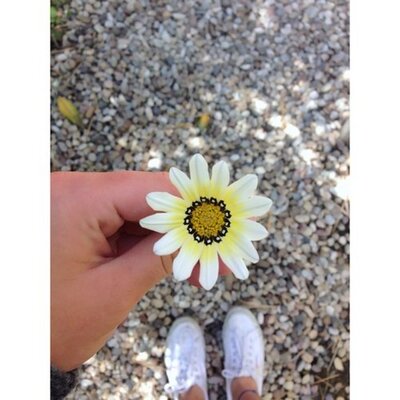 Profile Picture of Audrey Regan (@audreycregan) on Twitter
