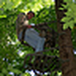 Profile Picture of Jason Hamilton (@jayham1) on Flickr