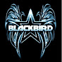 Profile Picture of Blackbird Band (@@BlackbirdBand4) on Tiktok