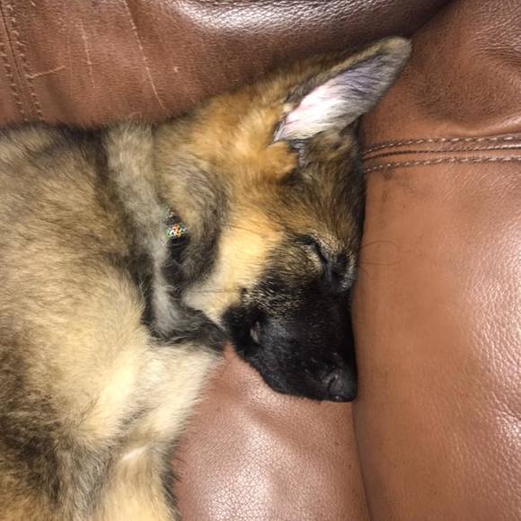 Profile Picture of Peter Dingle (@funguy7575) on Poshmark