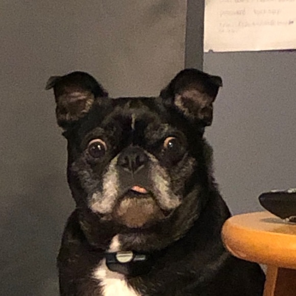 Profile Picture of Robert Booth (@rbooth35678) on Poshmark