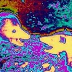 Profile Picture of David Labby (@labby_art_farm) on Instagram