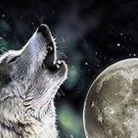 Profile Picture of John Yates (@john-yates-66) on Quora