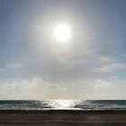 Profile Picture of   John Walsh (@user155757003)... (@user155757003) on Tiktok