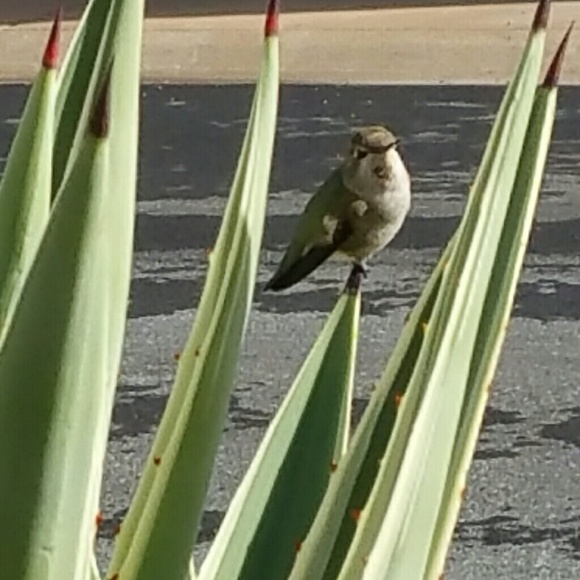 Profile Picture of Melodee Nowatzki (@nowarzki99) on Poshmark