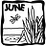 Profile Picture of Ruby Le (@ruby le) on Flickr