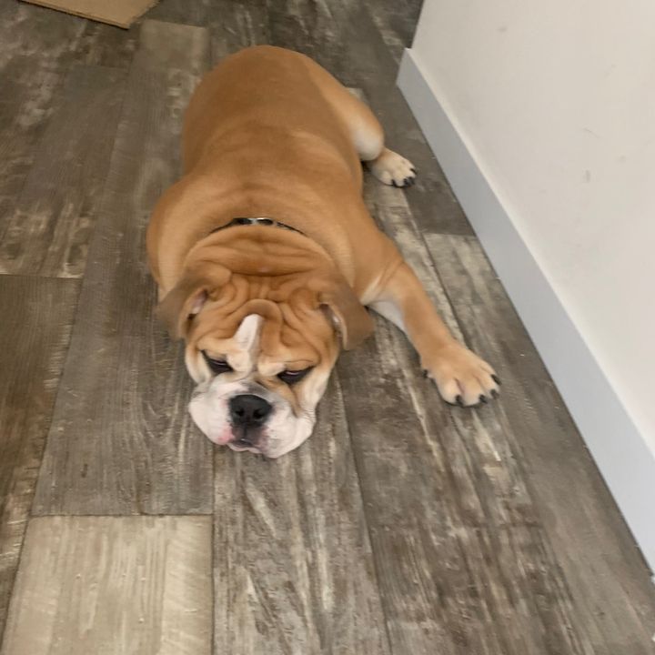 Profile Picture of Greg Jacobs (@gregjacobs5) on Tiktok
