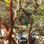 Profile Picture of Gilbert Davis (@gilbert.davis3) on Instagram