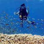 Profile Picture of Brian Barboukov (@barboukov) on Instagram