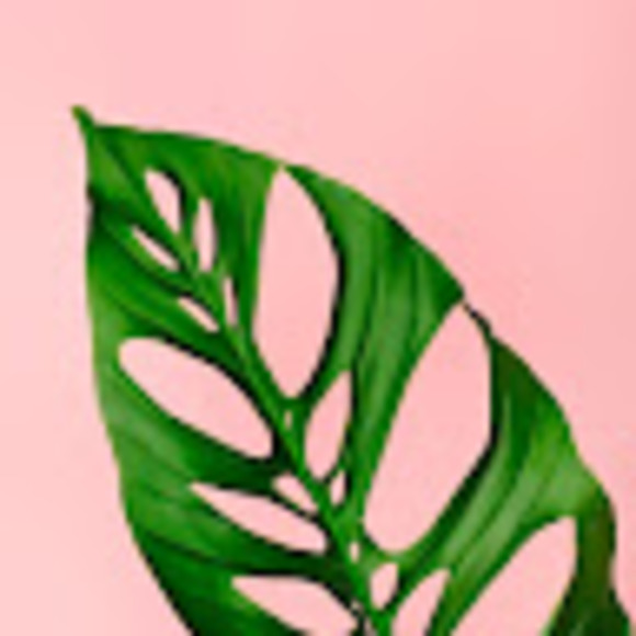 Profile Picture of Jacqueline Youmans (@jacquelineyouma) on Poshmark