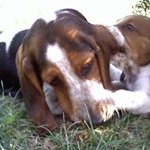 Profile Picture of Lori Knorr Gardner (@knorrgardner) on Instagram