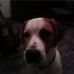 Profile Picture of Steve Flewelling (@steve.flewelling) on Facebook