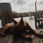 Profile Picture of Danny Garofolo (@nitro21x) on Instagram