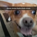 Profile Picture of issamkhoury (@issam_khouryyy) on Instagram