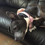 Corey Regan Lewis - Instagram Profile Picture of Corey Regan Lewis (@coreyreganlewis) on Instagram