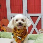 Profile Picture of Brenda LaBarre (@irish.pch33) on Instagram