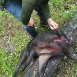 Profile Picture of Blake McAlister (@mcalisterblake) on Instagram