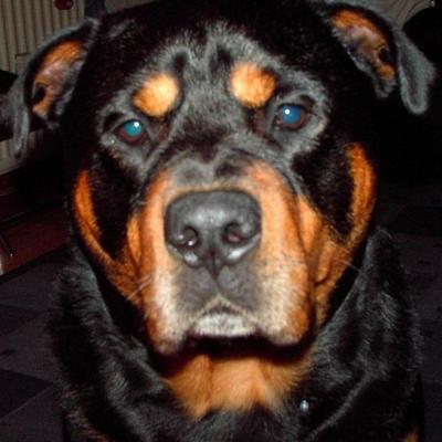 Profile Picture of Paul  Vallance (@Cazbar23) on Twitter