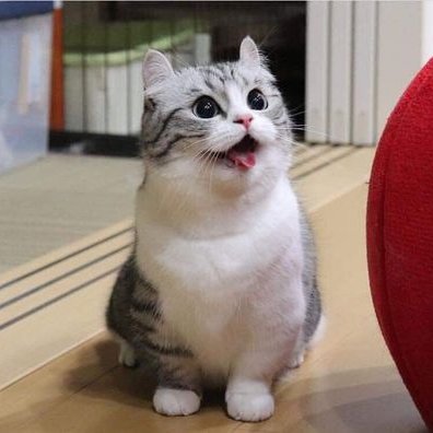 Profile Picture of Nguyễn Hứa Tuấn Kiệt (@NguynHaTunKit1) on Twitter