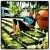 Profile Picture of Wilfredo Altiery (@waltiery) on Pinterest