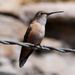 Profile Picture of Mark Dierker (@wander65) on Pinterest