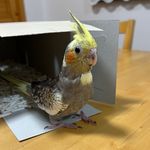 Profile Picture of Akihiro Takagi (@himarines26) on Instagram