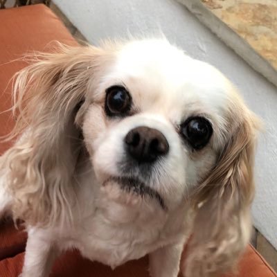 Profile Picture of Julia Rudnick (@julia_rudnick) on Twitter